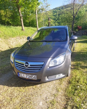 Opel Insignia cena 20400 przebieg: 249758, rok produkcji 2010 z Dolsk małe 121